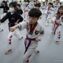 수 태권도 인성교육관 | 울산 유아태권도 인성태권도교육관의 성장과 친밀감 포인트