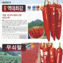 장성종묘 이미지