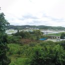 양계정사 이미지