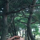 춘향과 몽룡 이미지