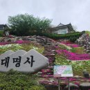 산청 대명사 꽃잔디 이미지