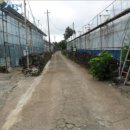 신산리-2 이미지