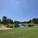 🇰🇷[용인]​ 도심 속 최고의 접근성, 철저한 코스 관리의 명가 '태광CC' 라운딩🏌‍♂️🏌‍♀️⛳️