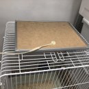 국민농장 이미지