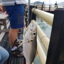 여수낚시터 이미지