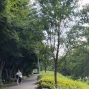 오프디 이미지