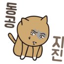 미스터육회연어왕 이미지