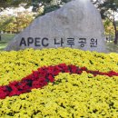 가을 나들이(APEC 나루 공원) 이미지