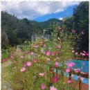 미르피아 펜션 이미지