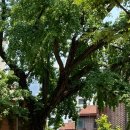 찾아가는 꽃자리콘서트 이미지