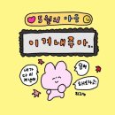 복싱체육관 이미지