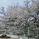 오포읍 신현로 103 이미지