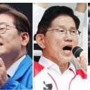 뉴데일리 여론조사로 여론 조작 이미지