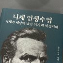 고전으로 배우는 내인생, 아모르파티 | [작은 행복 습관을 위한 책 리뷰] &lt;니체 인생수업&gt; 서평 책 저자 소개, 책 내용 요약, 감상 및 후기