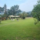 장승농장 이미지