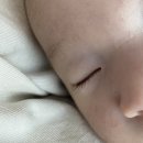 케이케어 | • 마더케이 네일케어 4종 후기 🪡 신생아 손톱깎이 추천, 전동 네일트리머 꼭 필요할까?