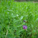 송강농장 이미지