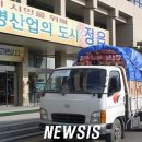 정읍장갑 이미지