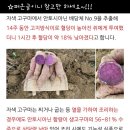 찐 자색고구마 이미지