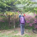 광덕1로9 이미지