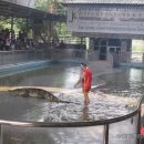 백번농장 이미지