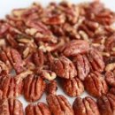 노화해바라기 이미지