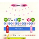 조은케미칼