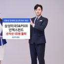 398 헤럴드경제