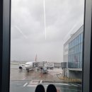 궁전예가 | 튀르키예 여행 1일차중 터키여행 필수코스 이스탄불 성소피아성당 지하궁전