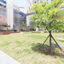 로얄팰리스4차(배곧로얄팰리스4차) 이미지