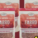 고대1120 이미지