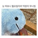 쏘 일상 7