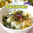 쌍둥이네 애견 이미지