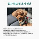 온천동물병원 이미지