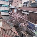 목련당구장 이미지