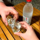 경기중앙동물약품 | [가평 그때그캠핑장]신생캠핑장 가평캠핑장 그곳-2/그때-1사이트 후기 내돈내산