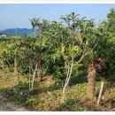 문관농장 이미지