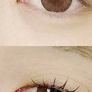 아비에뷰티
