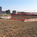 세븐일레븐 화성본점 이미지