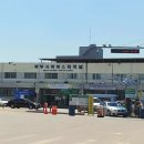 김밥천국(벌교) 이미지