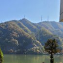 골든트리 이미지