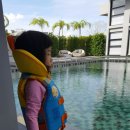 마야메드 이미지