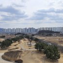 시흥 갯골생태공원 이미지