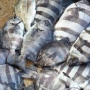 추자힐링랜드 이미지