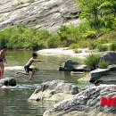 동해-단속-12 이미지