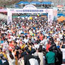 마이스정보사이트 - 제25회 합천벚꽃마라톤 이미지