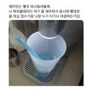 고릴라촌 | 뇌의 심근경색
