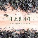 티소믈리에 이미지