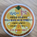 대오농장 | [내돈내산] 레드향 천혜향 황금향 선물 택배 주문 레츠고! 친구 부모님이 직접 농사 지으신 귤 추천 !!