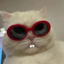 몬스터창고(홍대점) | 지구 너무 더워